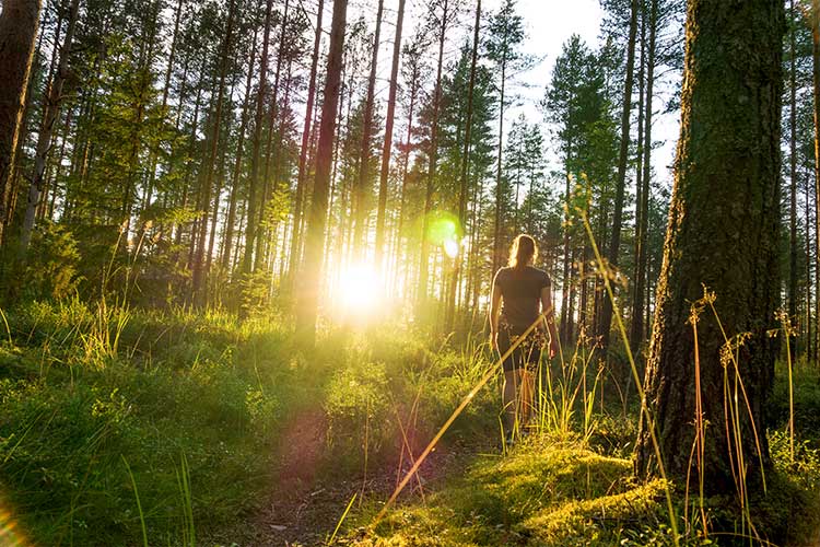 Why Nature Heals: The Science Behind Outdoor Medical Care